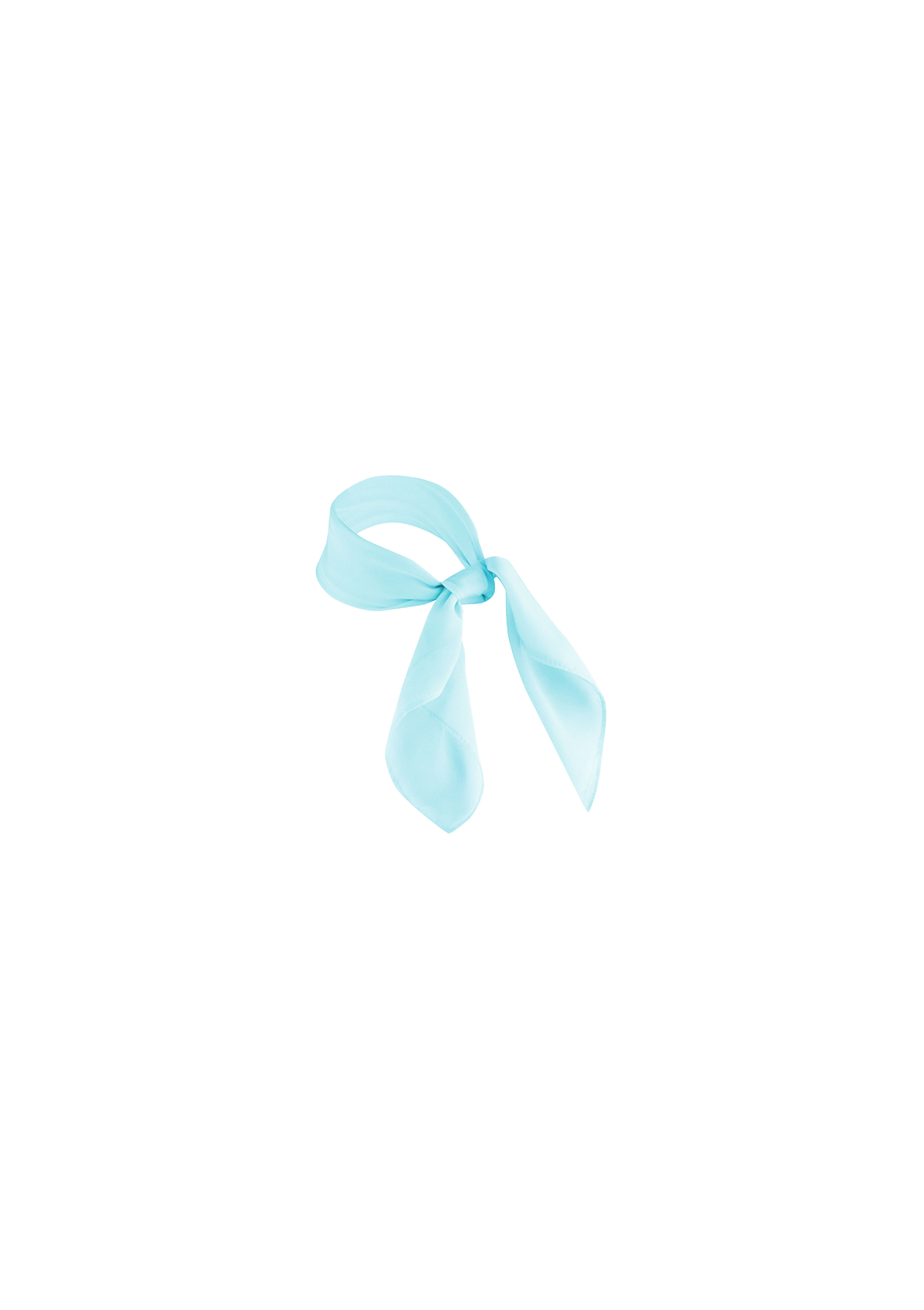 Women's Chiffon scarf Classic | Karlowsky