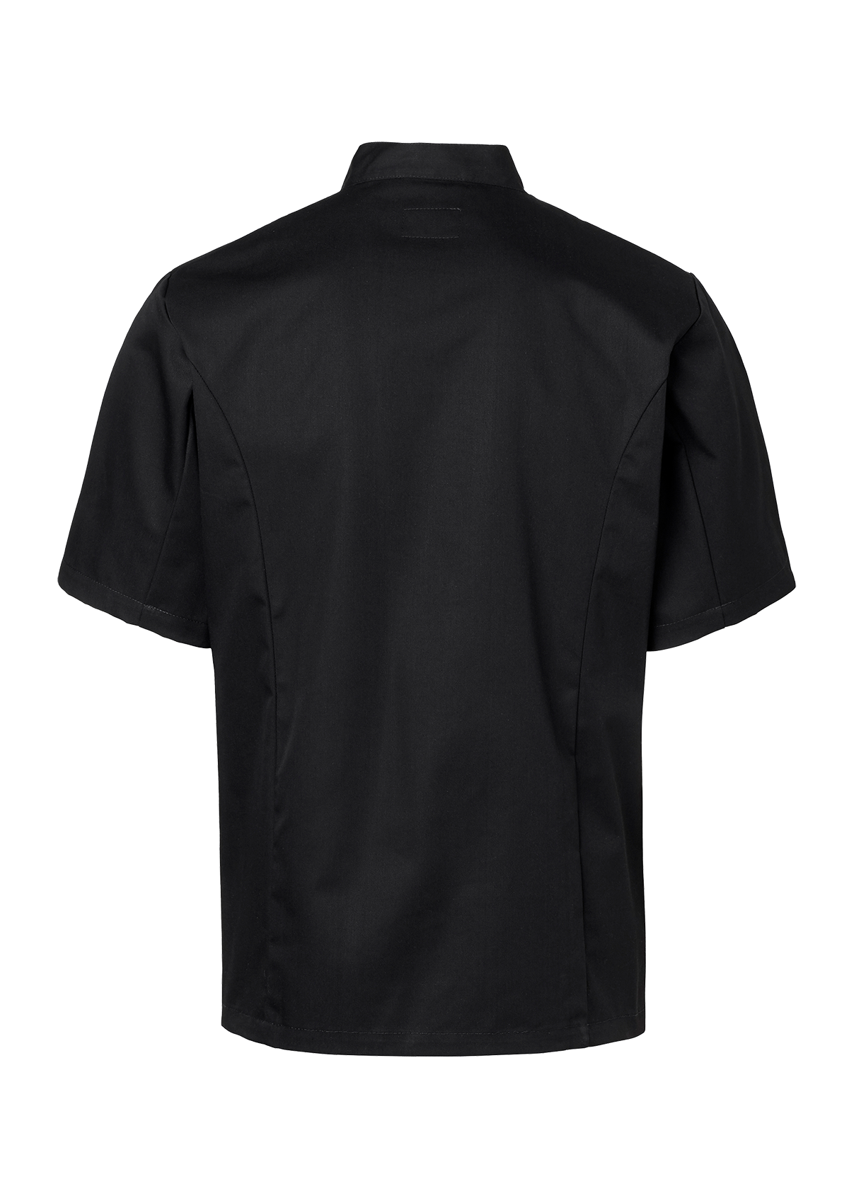 Men's Chef Jacket in Straight Cut Double-Breasted Short Sleeves | Segers